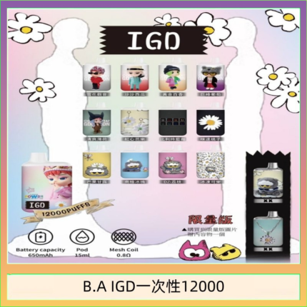 B.A IGD12000口 電子煙